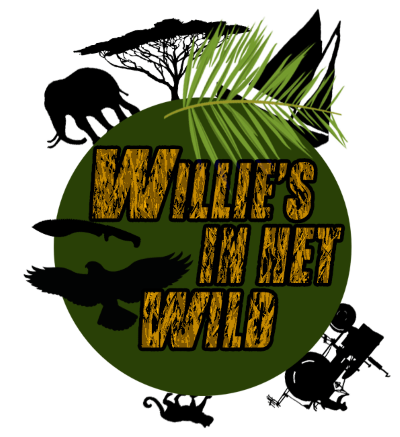 Loosdrecht 2019 - Willies in het wild