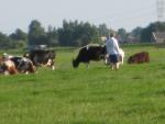 zomer 2008 253.JPG