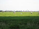 zomer 2008 264.JPG