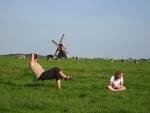 zomer 2008 269.JPG