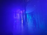 IMG_20190615_140426.jpg