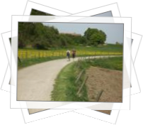 2011-04 - Hike