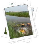 2011-05 - overvliegen